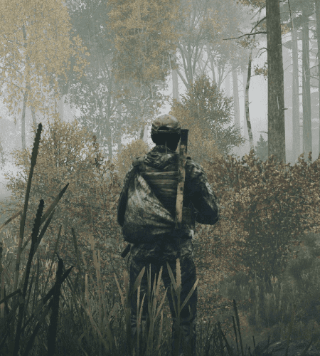 DayZ game logo