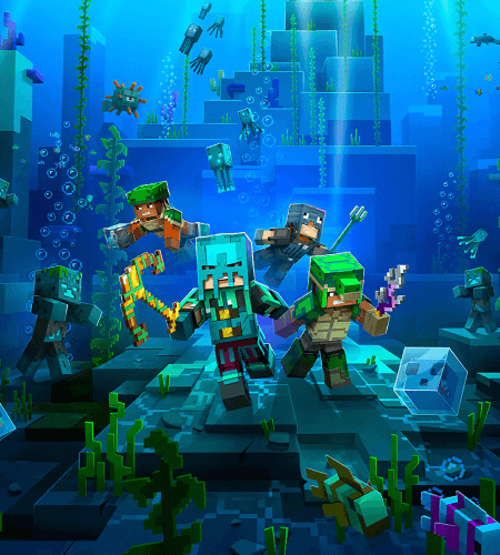 MineSurve
