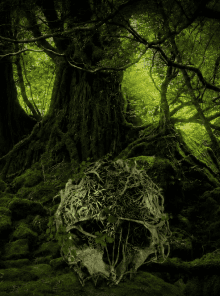 The Forest private servers