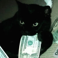 kitoshi62 avatar
