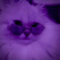 TiTan_119896 avatar