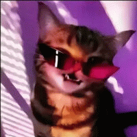 Dalows avatar