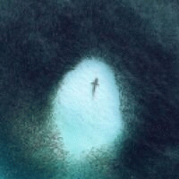 d1llawave avatar