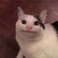 mqxdnx avatar