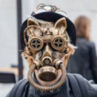 tontonfurry avatar