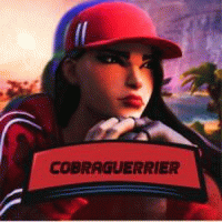 solo_cobrafn avatar