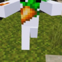 coraciel__93046 avatar