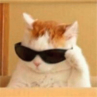 bubbletitou avatar