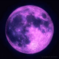 Funai_ avatar