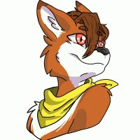 halfox_ avatar