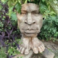 romanfight avatar