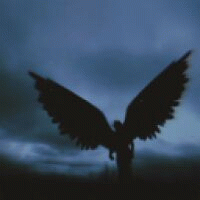 user_149520 avatar
