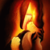 hotgguts avatar