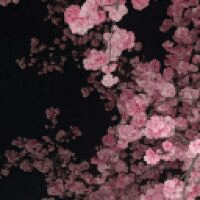 user_171485 avatar