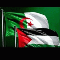 Djadja3776 avatar