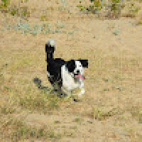 Thomas_177026 avatar