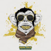 matthieu_177768 avatar