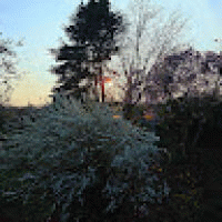 user_178603 avatar