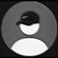 Nolan_179834 avatar