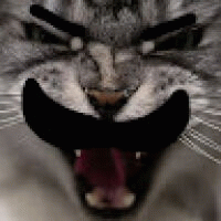 martin_180642 avatar