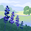 Lily_181333 avatar