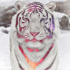 Travis_182313 avatar