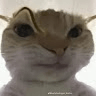 IBRAHIM_183478 avatar