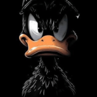 x_69leduck_69x avatar