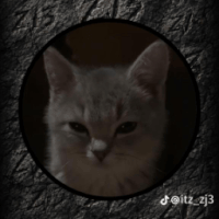 mars59173 avatar