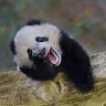 Ludo_186045 avatar