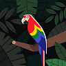 Jergo avatar