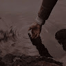 user_186883 avatar