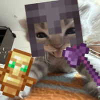 nolannax avatar