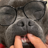 Kalim avatar