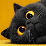 Fabien_187982 avatar