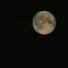 Tom_188272 avatar