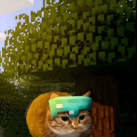 zebrotor__ avatar