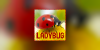 Ladybug Minecraft