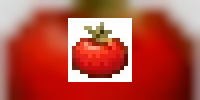 TomatoCPVP