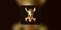 Goldskull